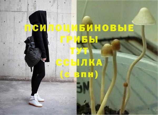 ешки Армянск