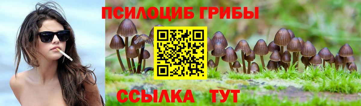 Галлюциногенные грибы Psilocybine cubensis  где можно купить наркотик  Псилоцибиновые грибы мухоморы  Георгиевск  Вход с VPN 